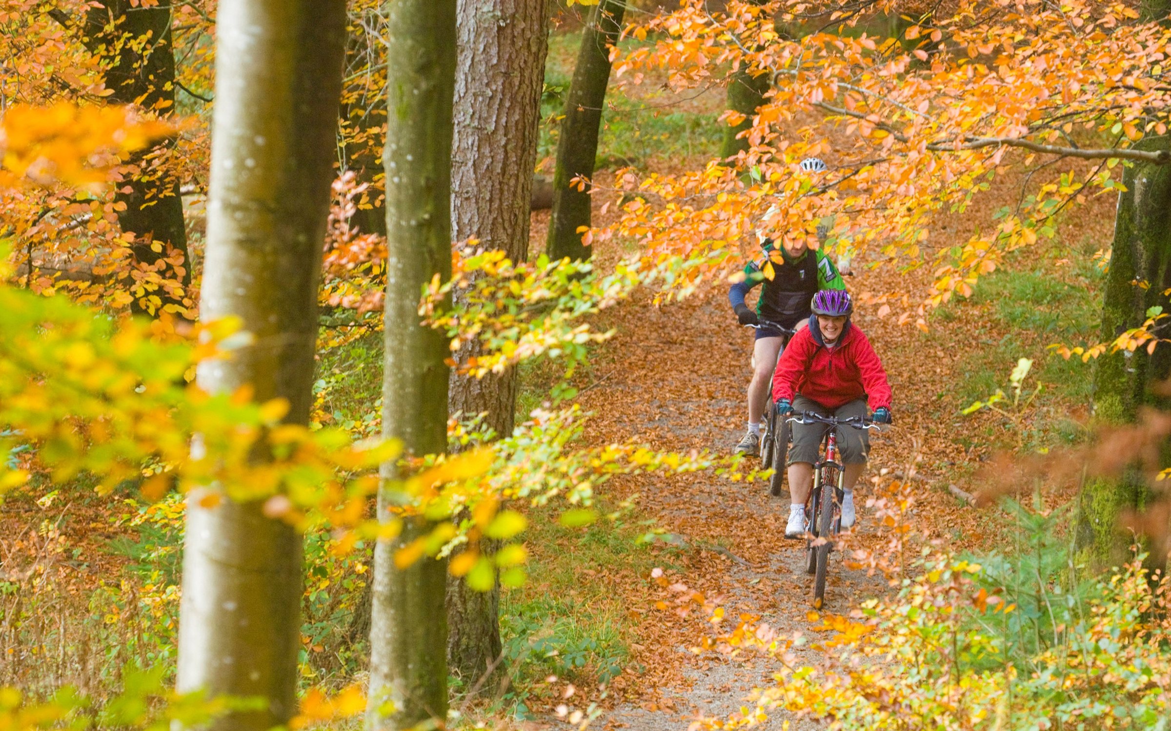 Hampton hills mountain discount bike trail twitter